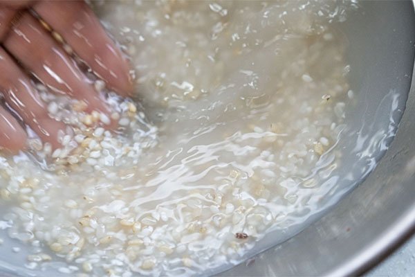 미쉐린 가이드 서울 2023 온지음 식재료 쌀