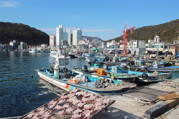 기장 대변항