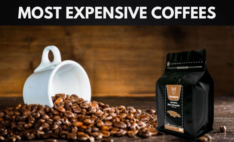 세계에서 가장 비싼 커피 10가지