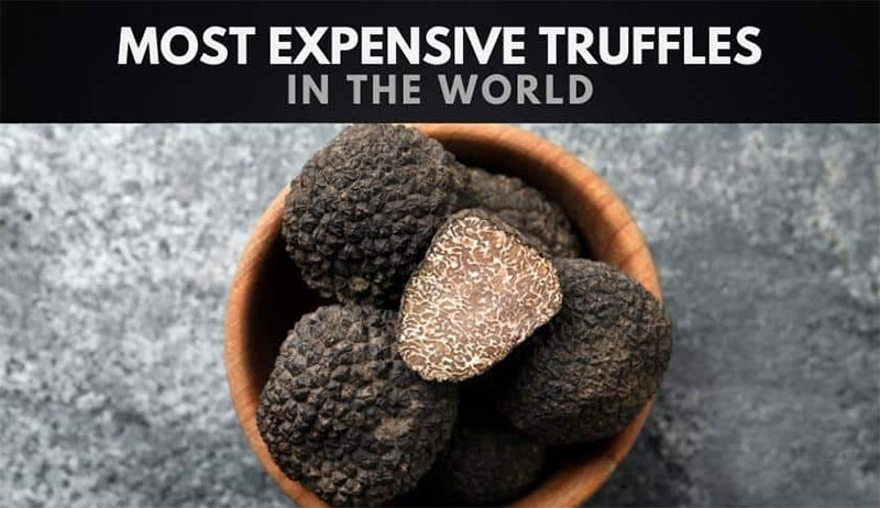 세계에서 가장 비싼 트러플 10가지