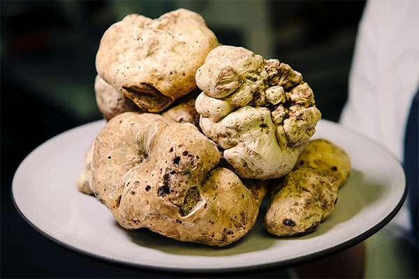 White Truffle Trio – $87,000