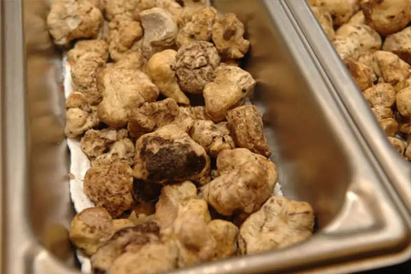 2.2 Pound White Italian Truffle – $200,000