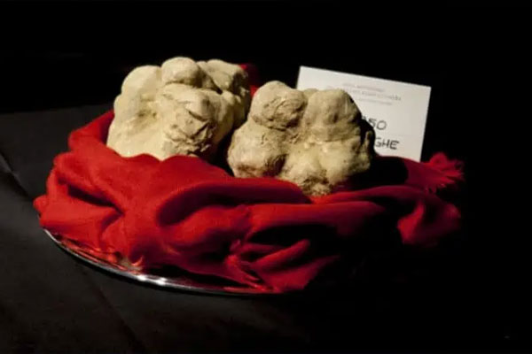 Grande Twin Truffles – $118,000