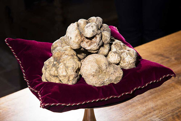 16th International Auction White Truffle – $108,000