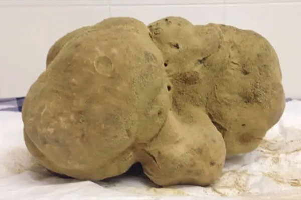 4 Pound White Truffle – $95,000