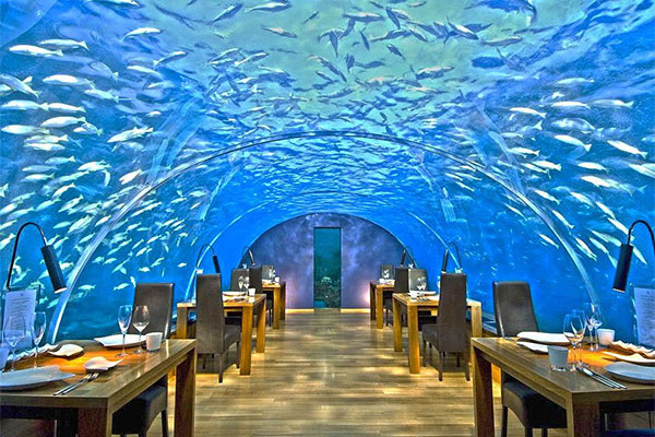 Ithaa Undersea Restaurant – Maldives