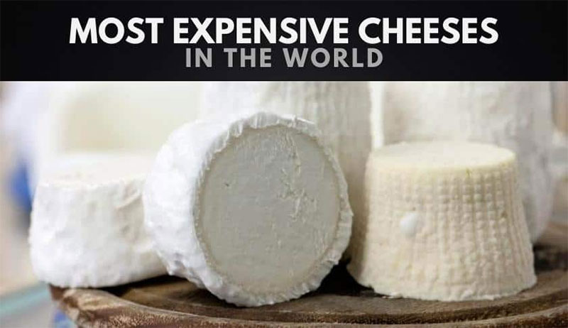 세계에서 가장 비싼 치즈 10가지