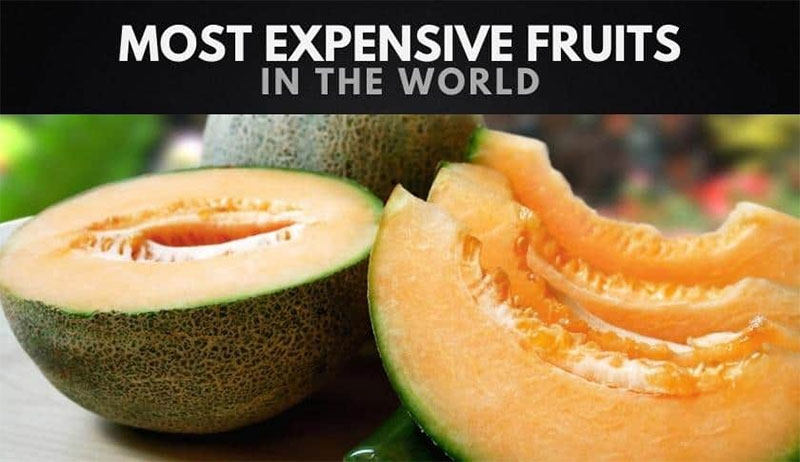 세계에서 가장 비싼 과일 10가지