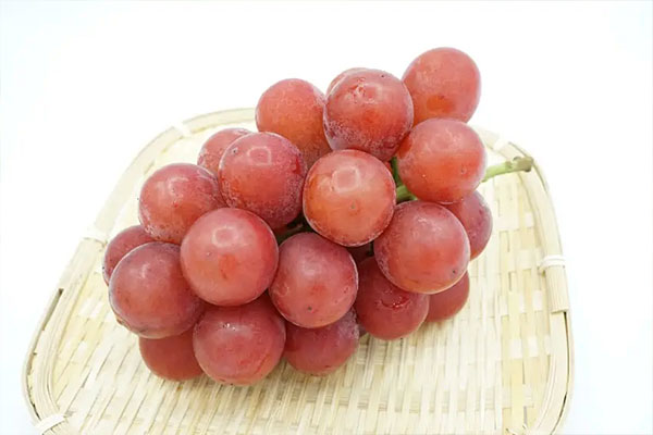 Ruby Roman Grapes – $8,400/Per Bunch