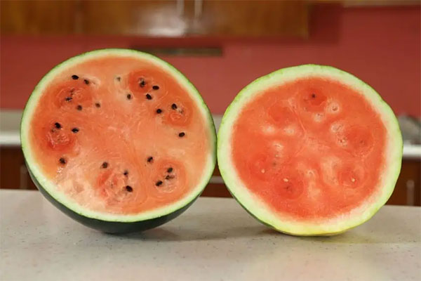 Densuke Watermelon – $6,100 Each