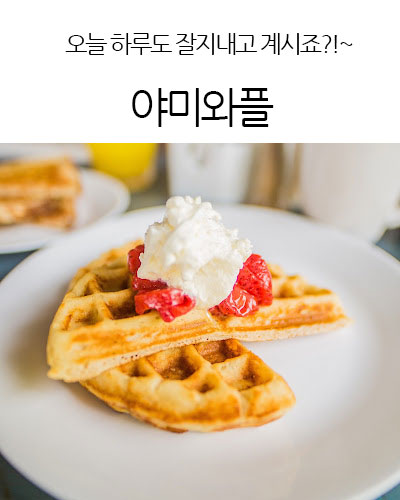 Yummy Waffle 야미와플