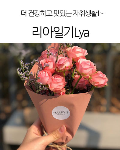 리아일기Lya