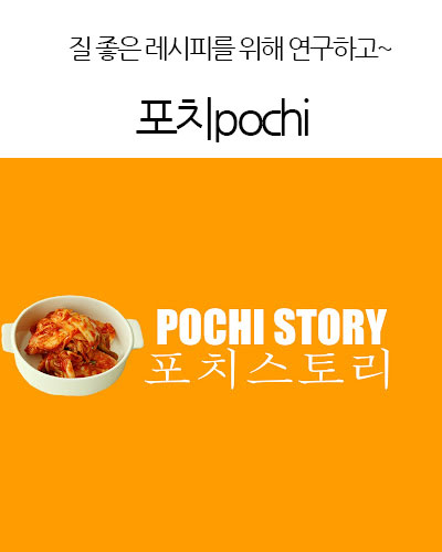 포치pochi