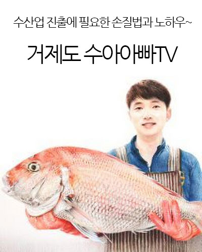 거제도 수아아빠TV_생선회 sashimi 이야기