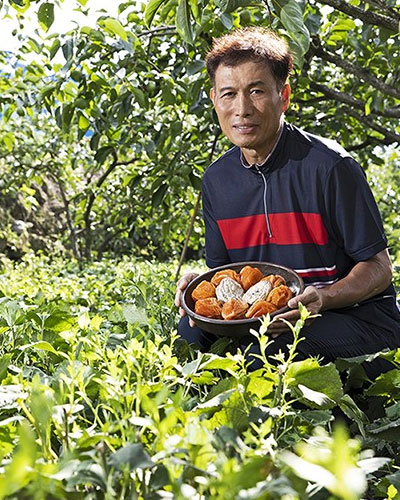 바람으로 한껏 농축되는 대봉감의 쫀득한 단맛