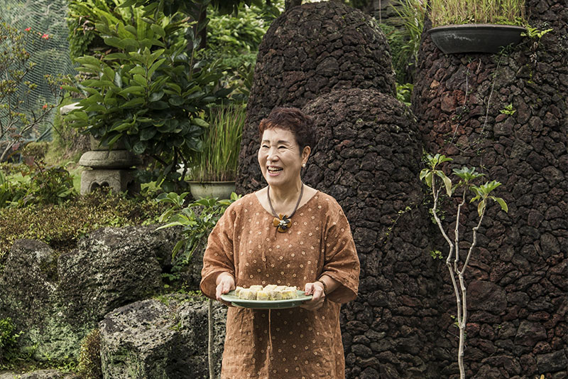 뿌리 깊은 제주 자연주의 No1.