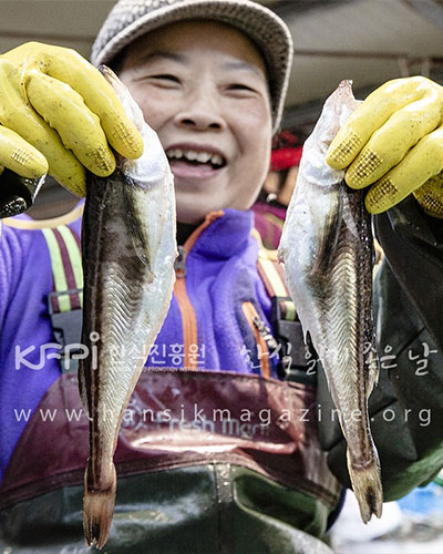 겨울철 별미 도루묵 먹으러 속초로 떠나는 언택트 여행