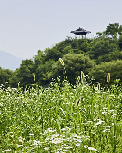 눈과 입, 몸과 마음도 시원한 옥천