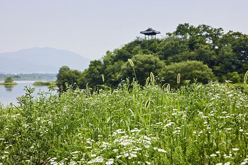 눈과 입, 몸과 마음도 시원한 충북 옥천