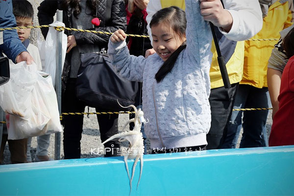 서천 동백꽃 주꾸미 축제