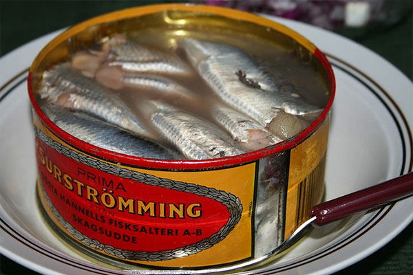 세계 각국의 다양한 젓갈들, 수르스트뢰밍(Surströmming)