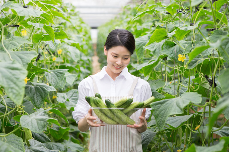 여름 노래와 시로 읊는 초록 여름의 맛