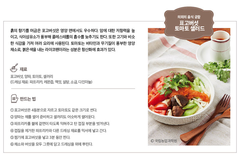 표고버섯 도마토 샐러드 만드는 법