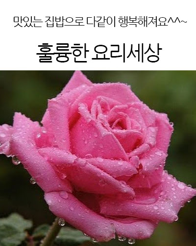 훌륭한 요리세상