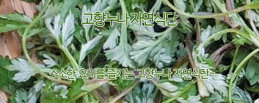 고향누나 자연식단 한식요리 레시피 동영상