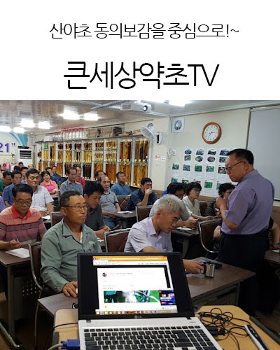 큰세상약초TV