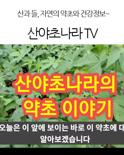 산야초나라 TV