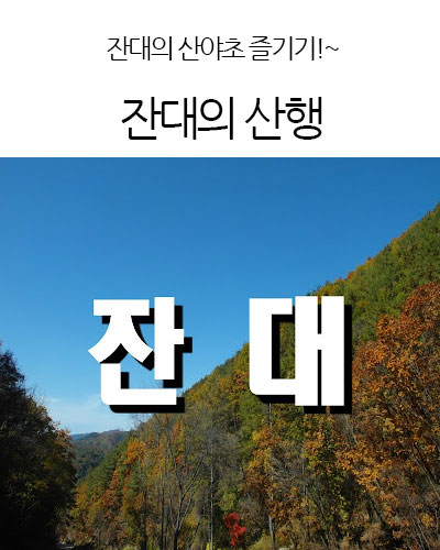 잔대의 산행 약초잡학