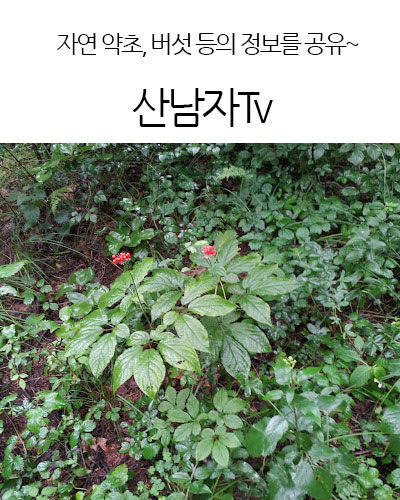 산남자Tv