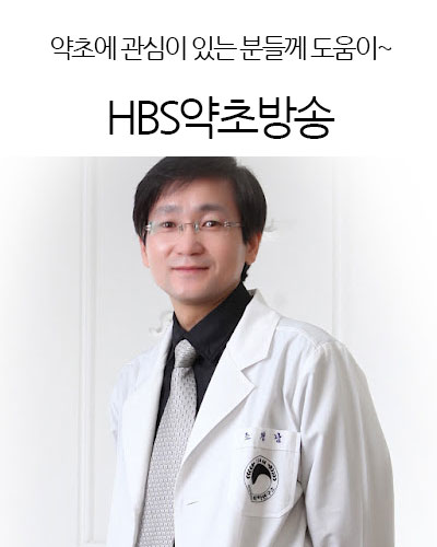 HBS약초방송