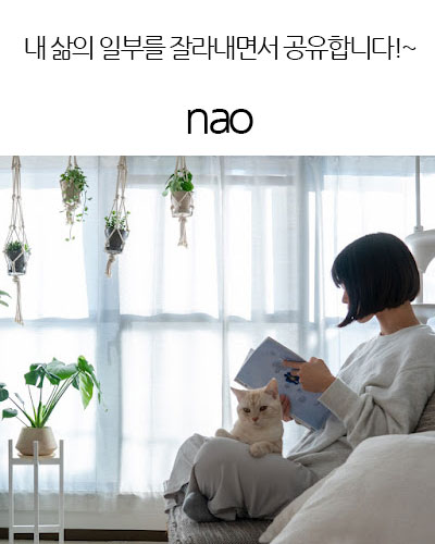 [Japan] nao