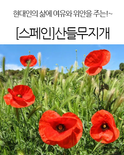 [Spain] [스페인]산들무지개