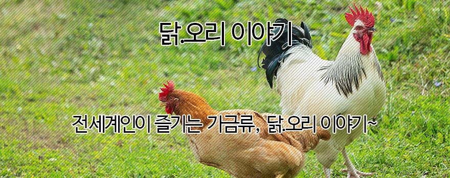 우리술 이야기