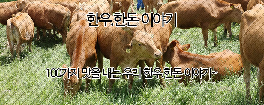 한우.한돈 이야기