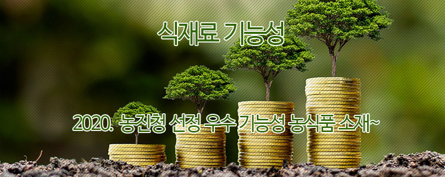 식재료 기능성