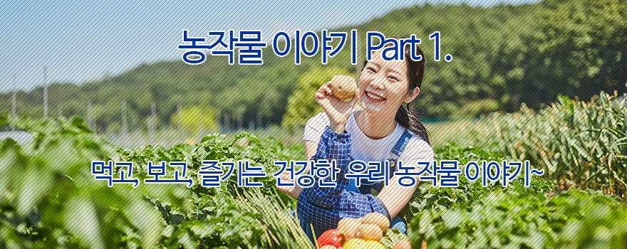 농작물 이야기 Part 1.