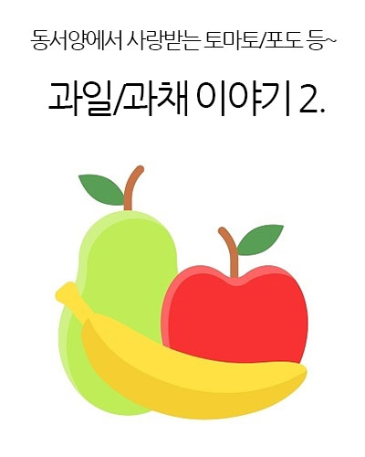 과일/과채 이야기 Ⅱ.