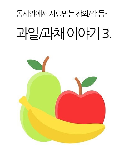 과일/과채 이야기 Ⅲ.