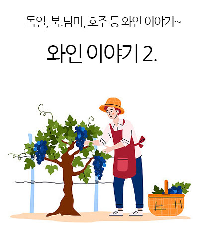 와인 이야기 Ⅱ.