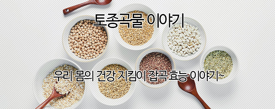 토종곡물이야기