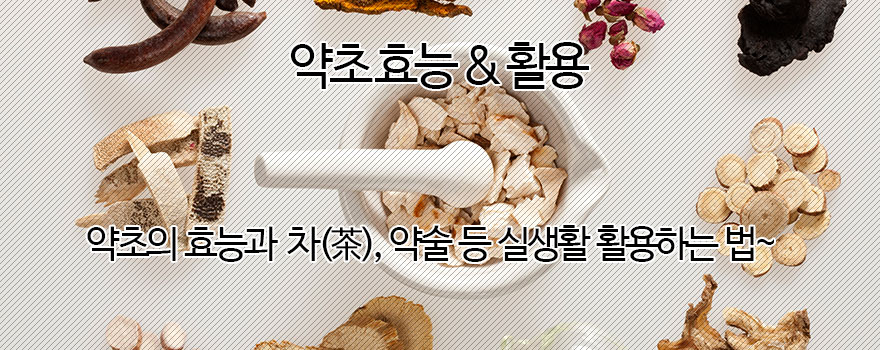 한방약초 활용 이야기