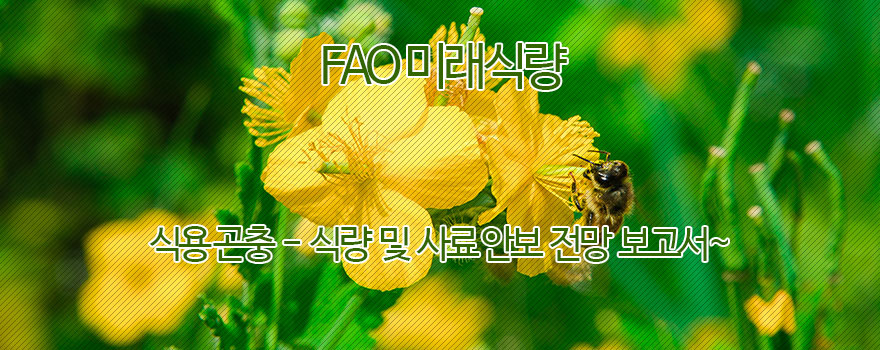 FAO 미래식량