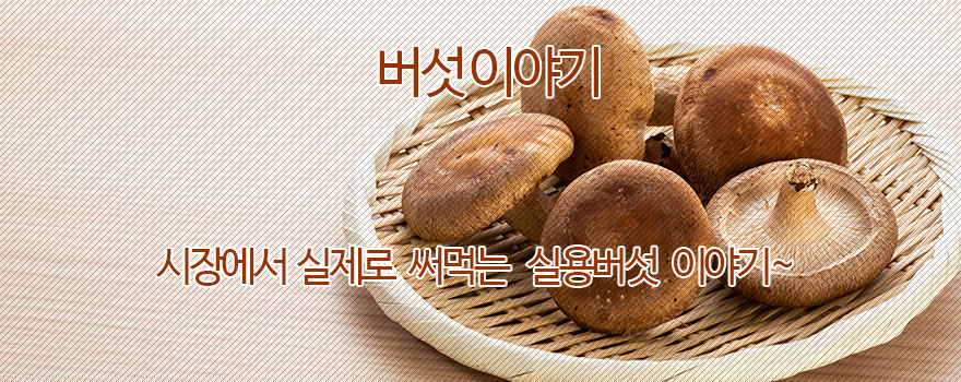 버섯 이야기