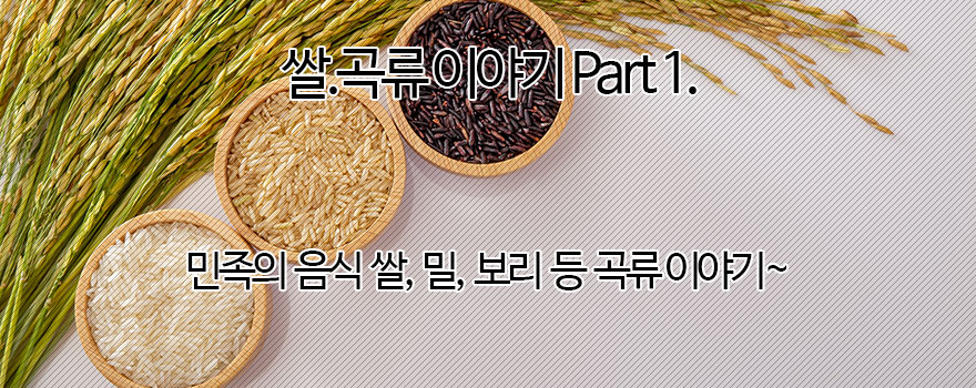 쌀.곡류 이야기 Ⅰ.