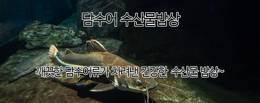 담수어 수산물밥상