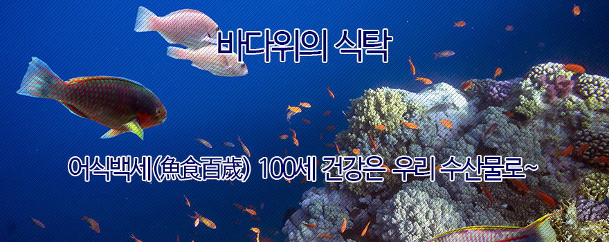 바다위의 식탁